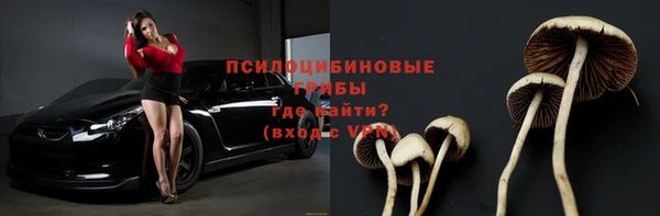эйфоретик Арсеньев