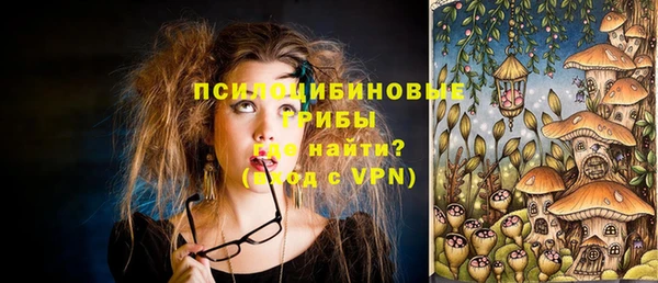 эйфоретик Арсеньев