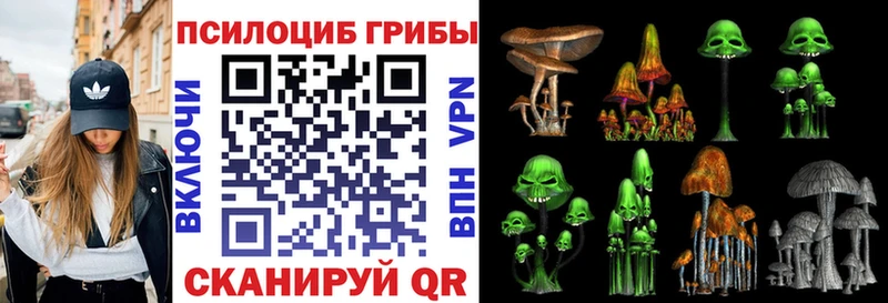 Галлюциногенные грибы мухоморы Суворов